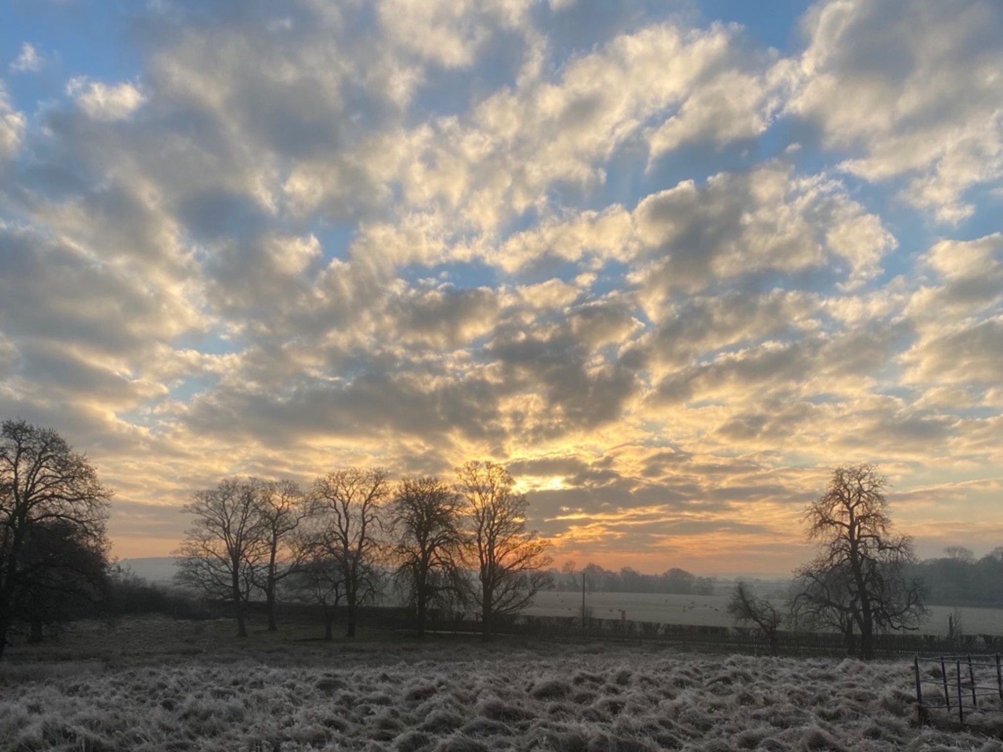 Misconfiguration of Cloud Security - Frosty sunrise at Attingham Park, National Trust